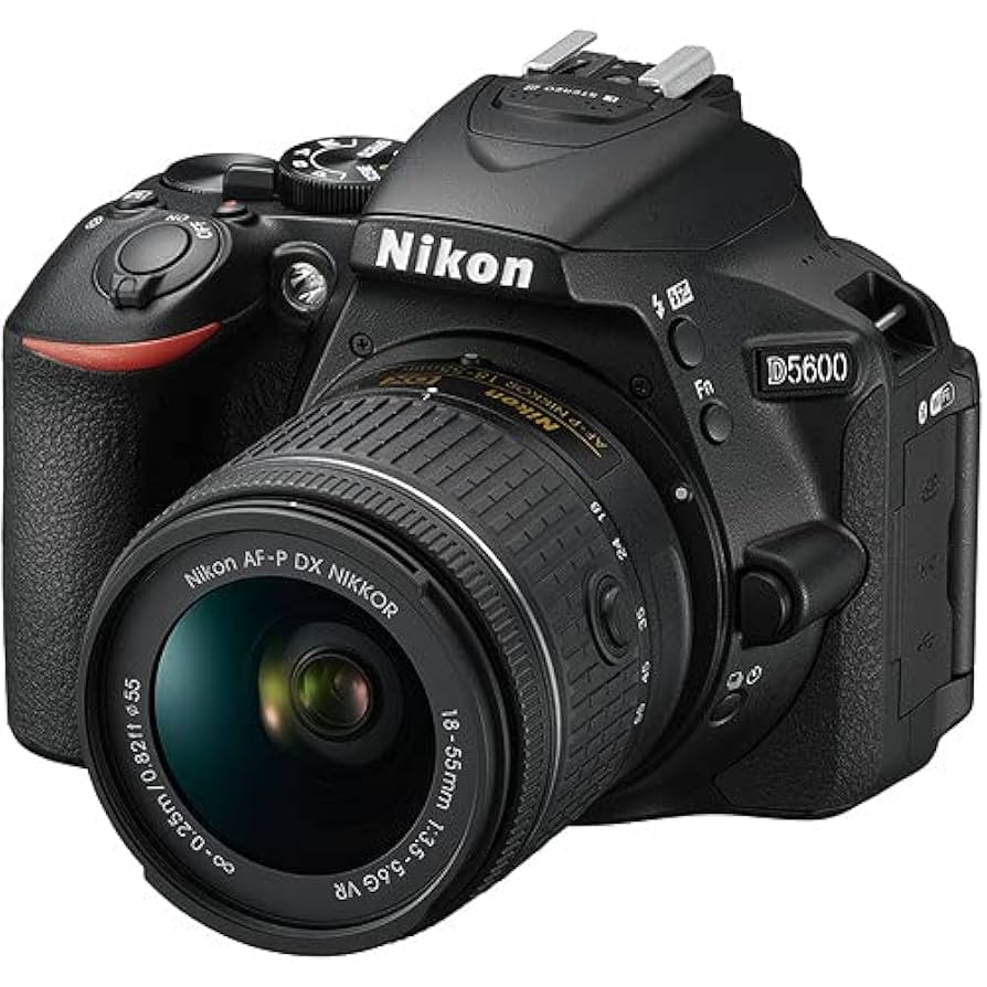 Amazon.com : Nikon D5600 DSLR Camera with Nikon AF-P DX